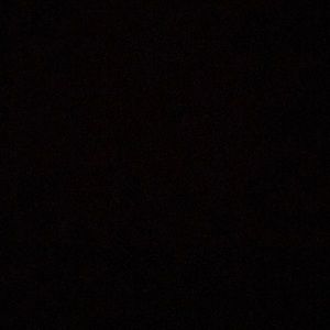 Meet your Posher, Shaina